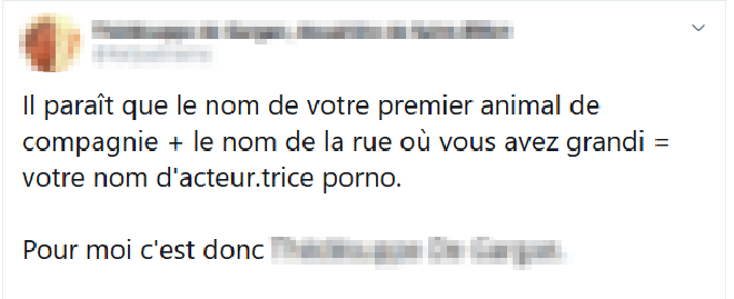 Il paraît que le nom de votre premier animal de compagnie + le nom de la rue où vous avez grandi = votre nom d'acteur.trice porno. Pour moi c'est donc ****